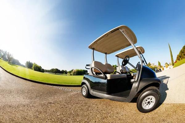 Discover Premium Golf Carts at a Leading Golf Cart Dealer